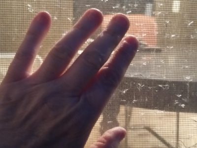 Hand rests on window screen